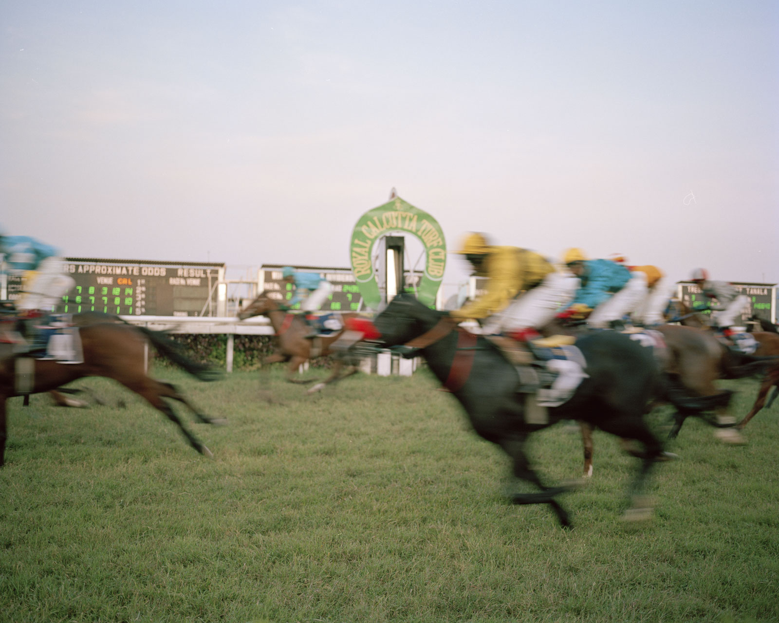 Pferde und Jockeys galoppieren durch das Ziel. 2014, Kalkutta, Indien