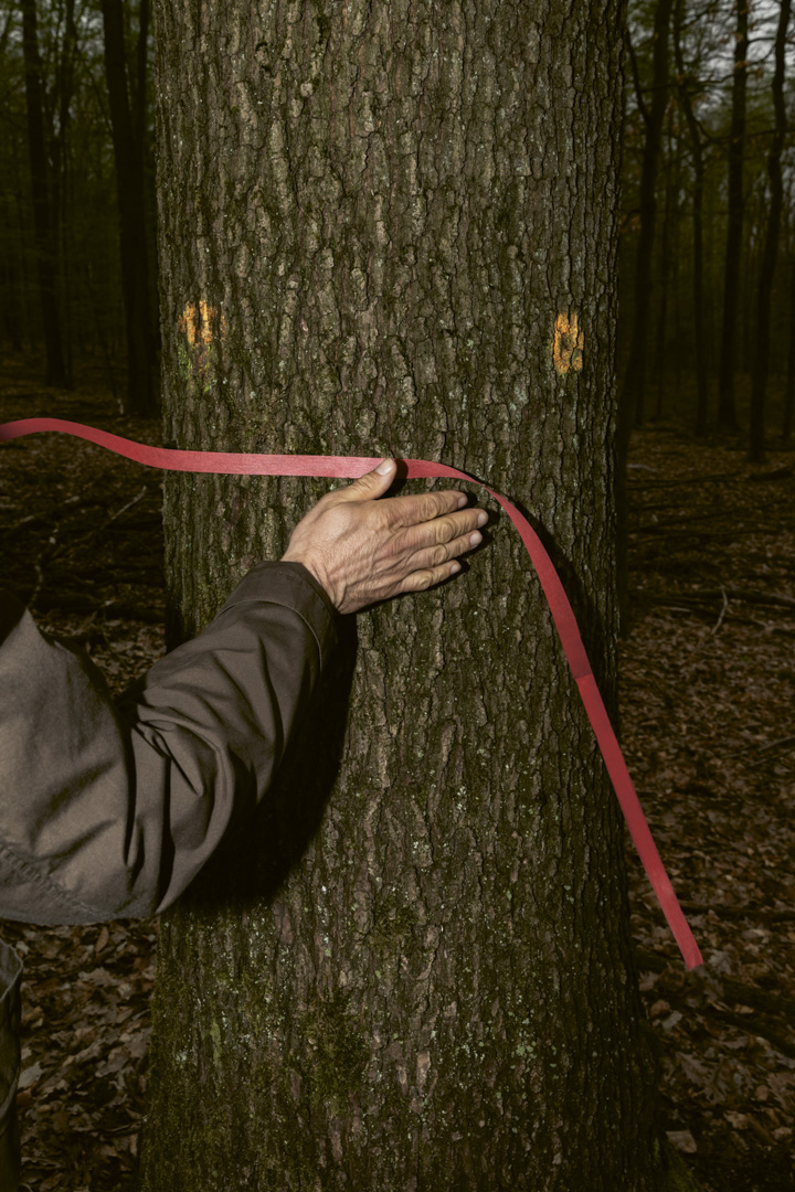 Fachbereichsleiter des Saarforstes während einer Waldinventur im Forstrevier Riegelsberg, 2019