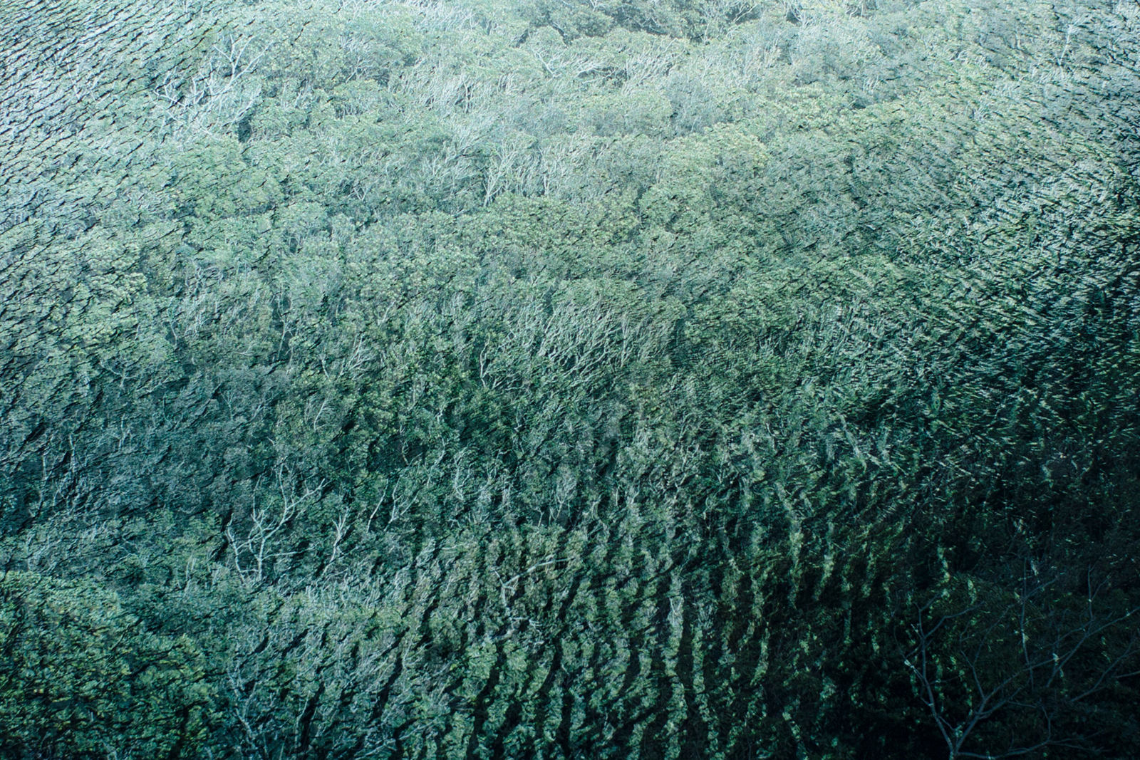 Eins - Analoge Collage aus Fotografien auf Transparentpapier. Betrachtungen zum Thema Ein(samkeit). Japan, 2015